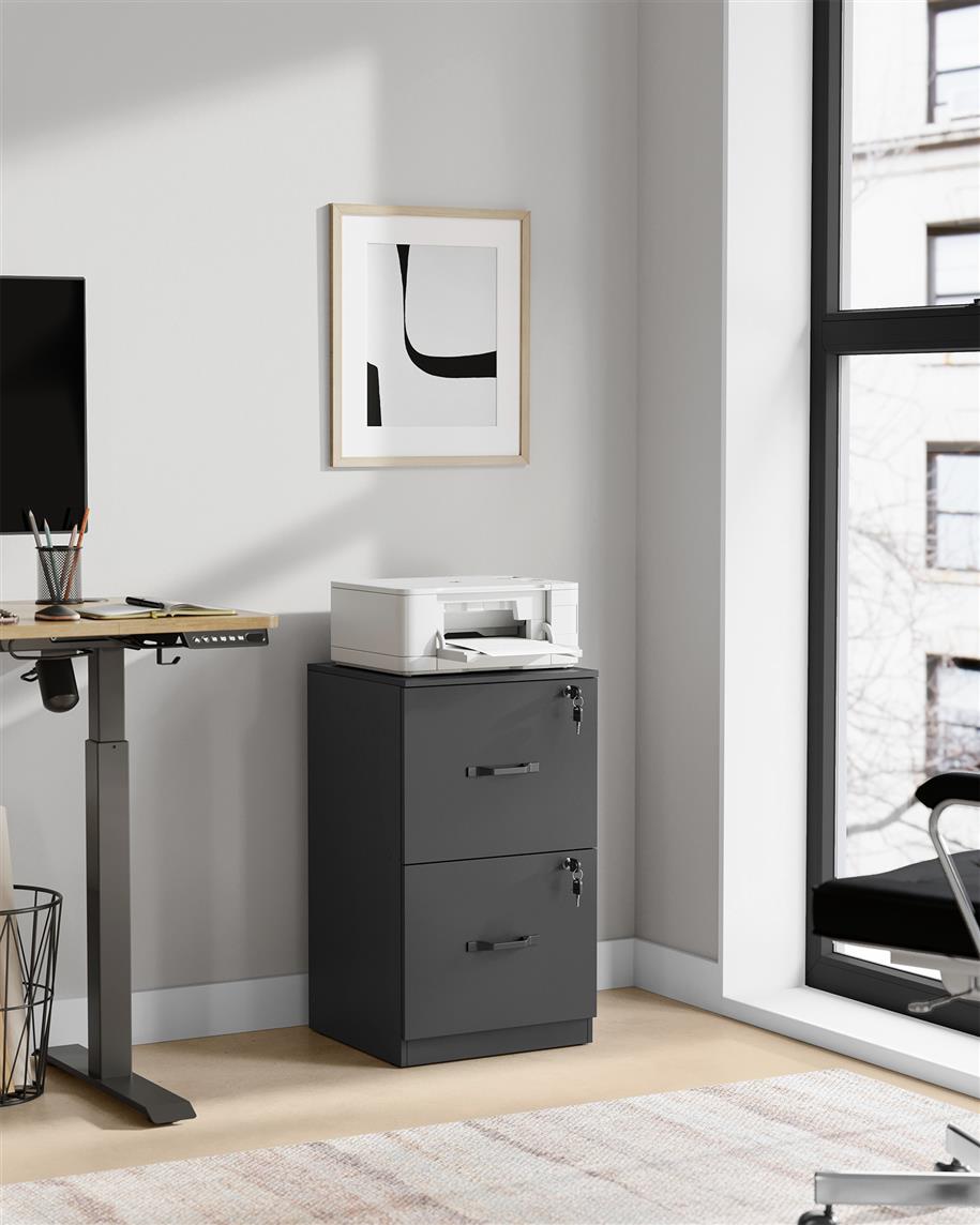 2-Drawer Vertical File Cabinet