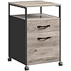 Industrial Style File Cabinet - image 12