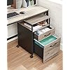 Industrial Style File Cabinet - image 17