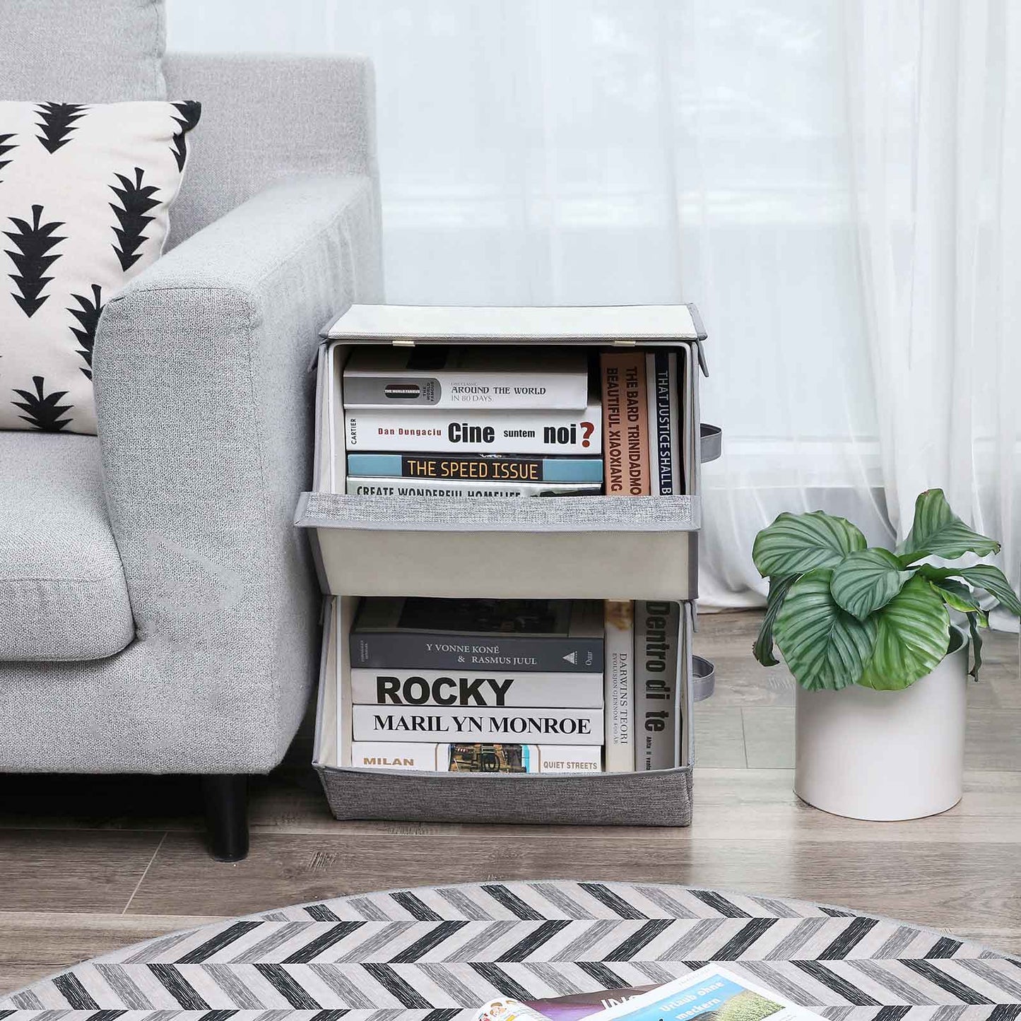 Hinged Lid Storage Boxes - image 4