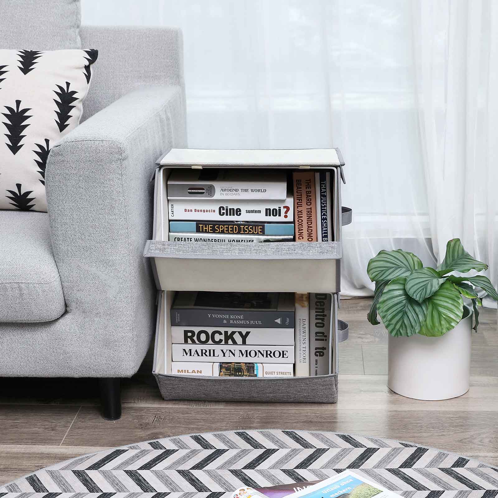 Hinged Lid Storage Boxes - image 4