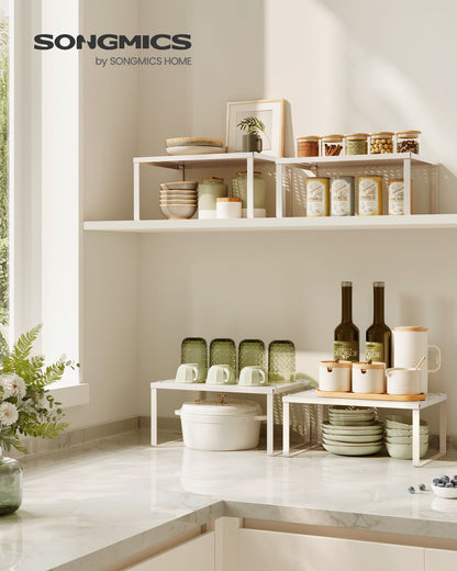 Set of 2 Stackable and Expandable Spice Racks