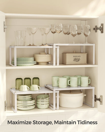 Set of 2 Stackable and Expandable Spice Racks