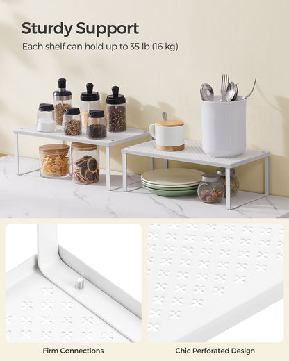 Set of 2 Metal Kitchen Spice Racks - HWLEXTRA 