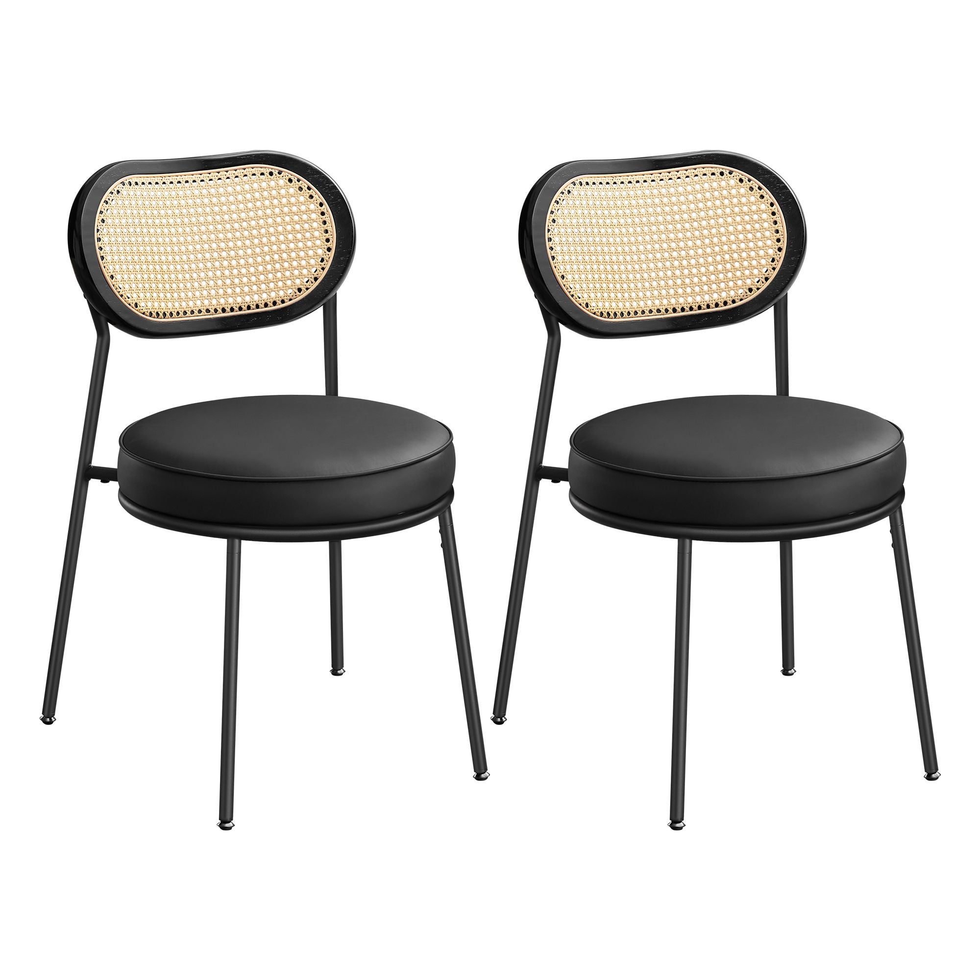 Dining Chairs, Set of 2 Accent Chair, Ink Black