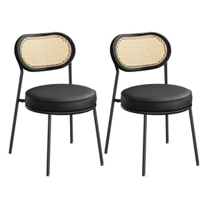 Dining Chairs, Set of 2 Accent Chair, Ink Black