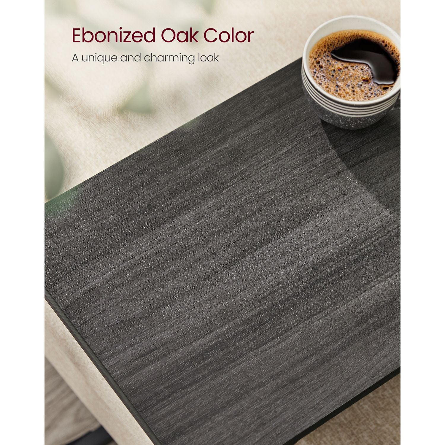 Set of 2 C-Shaped End Table - HWLEXTRA 