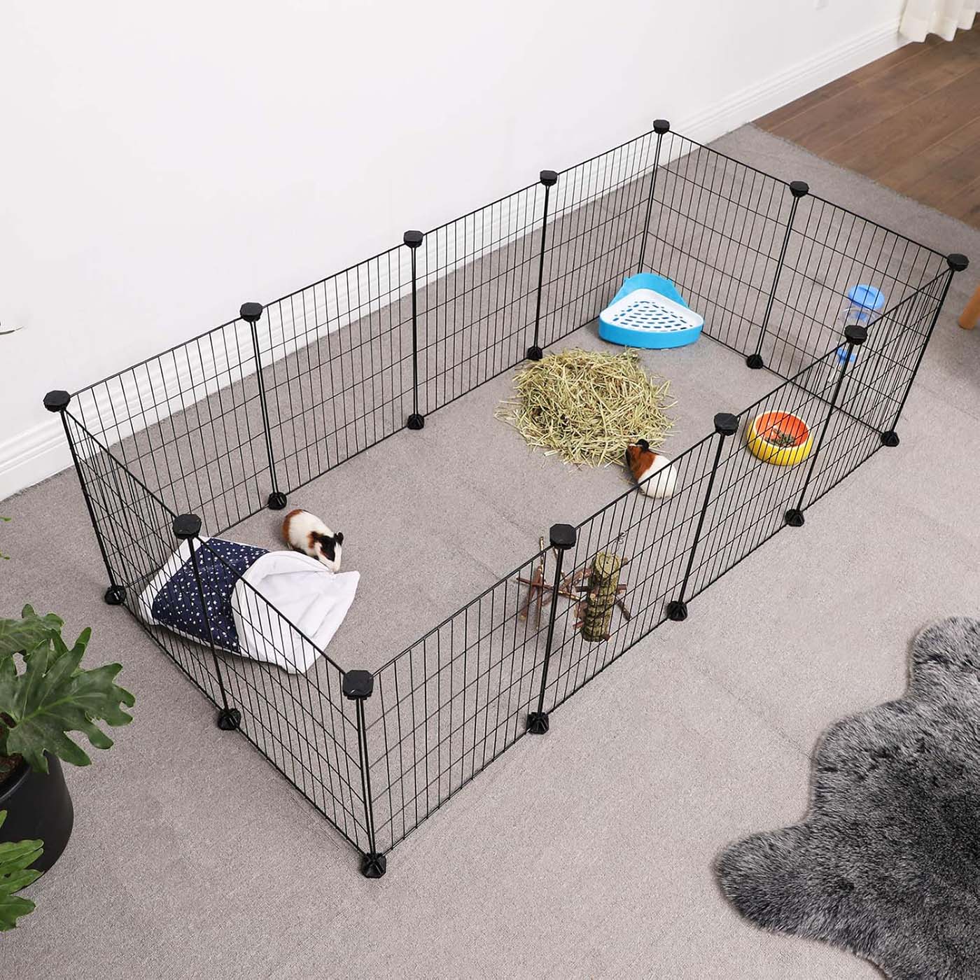 Guinea Pigs Cages - image 5