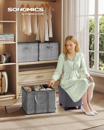 Fabric shoe organizer bin with handles and clear cover
