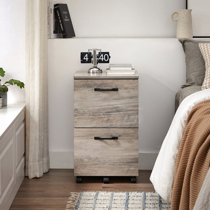 2-Drawer File Cabinet for Home Office