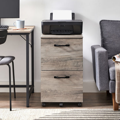2-Drawer File Cabinet for Home Office