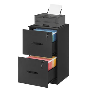 2 Drawer File Cabinet with Locks, for A4, Letter Sized Documents, Filing Cabinet for Hanging File Folders - image 1