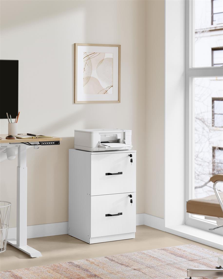 2-Drawer Vertical File Cabinet