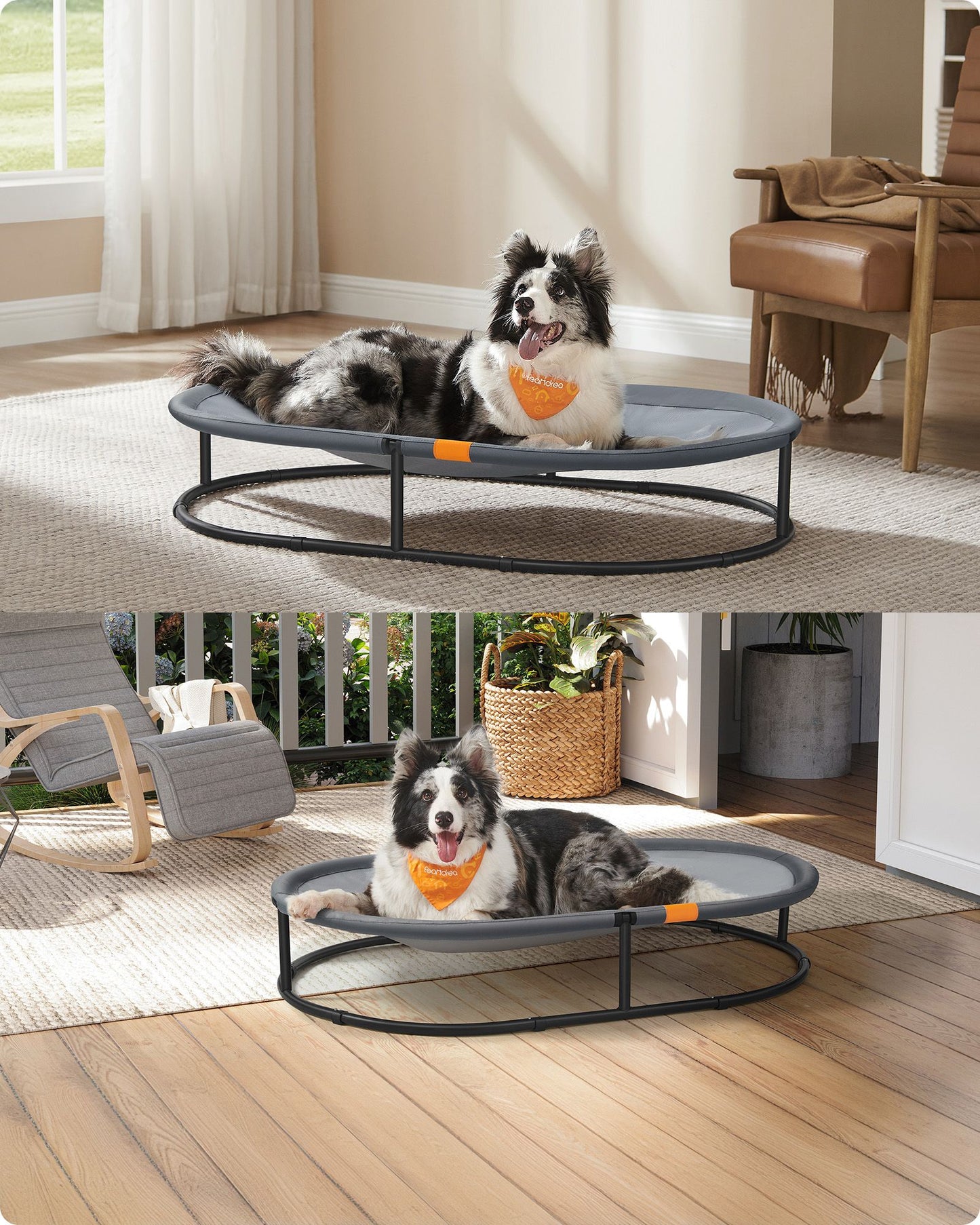 Elevated Oval Dog Bed for Small and Large Dogs Gray