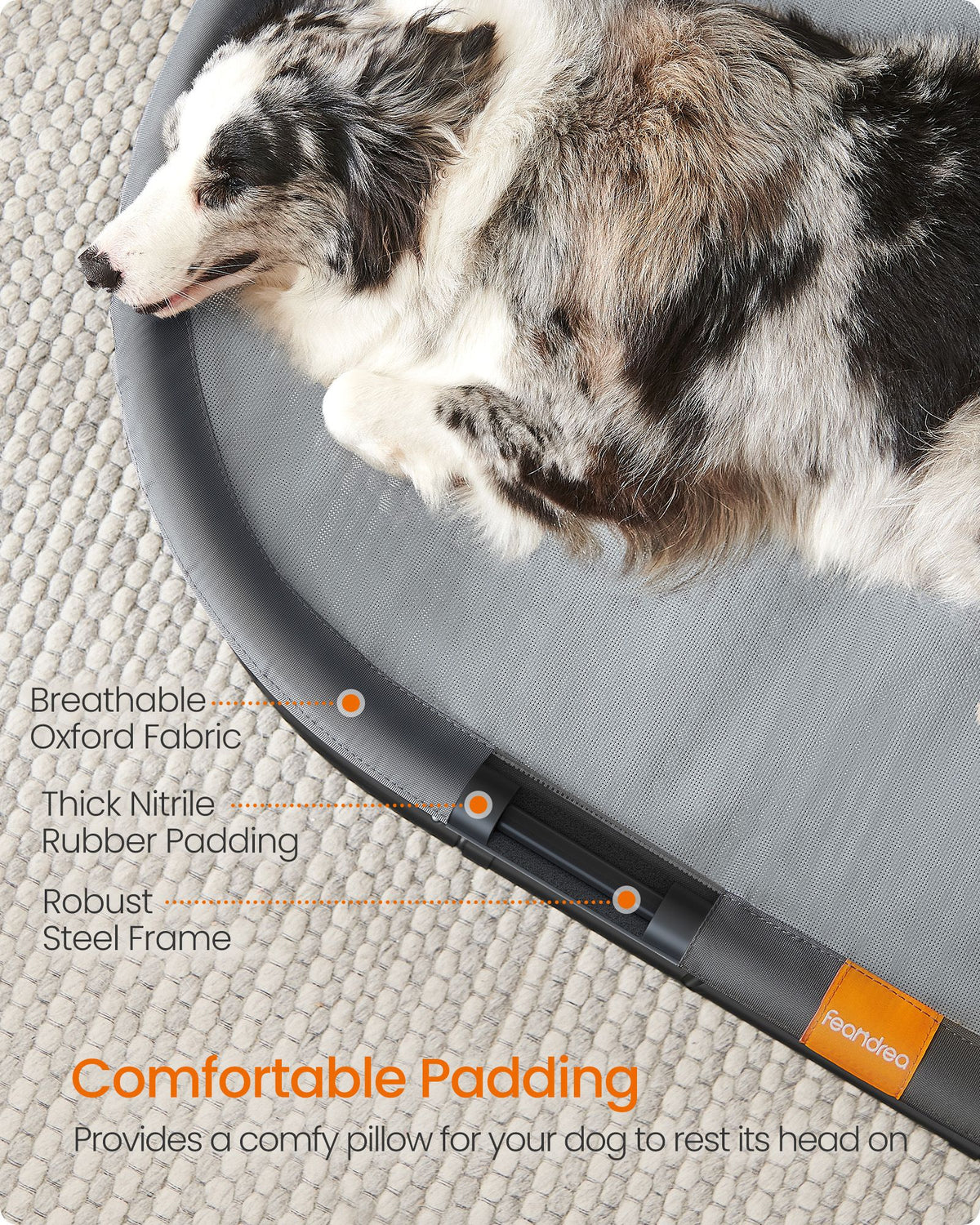 Elevated Oval Dog Bed for Small and Large Dogs Gray
