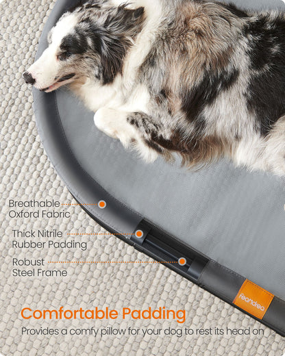 Elevated Oval Dog Bed for Small and Large Dogs Gray