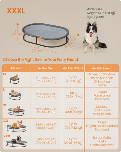 Elevated Oval Dog Bed for Small and Large Dogs Gray