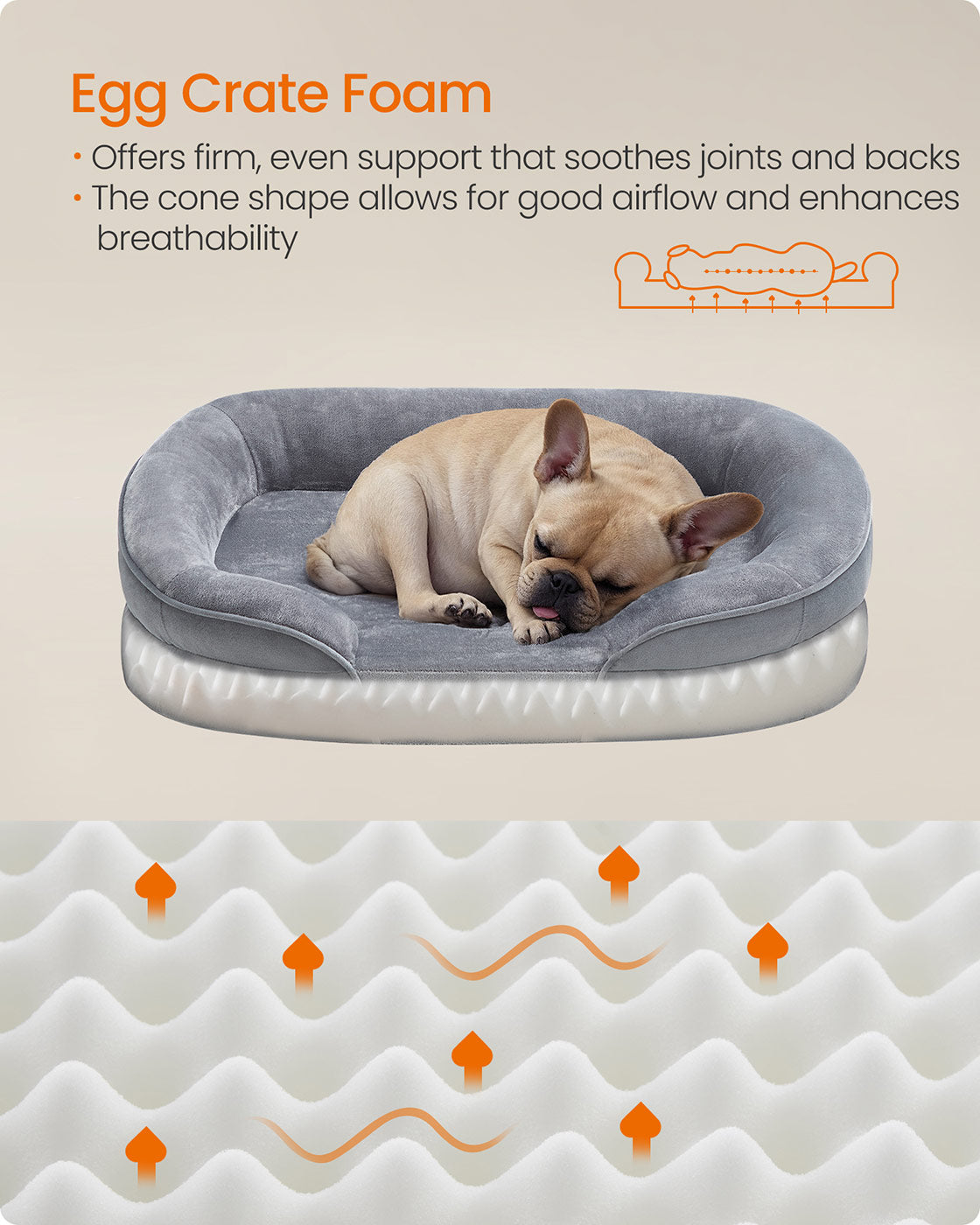 Dog Bed