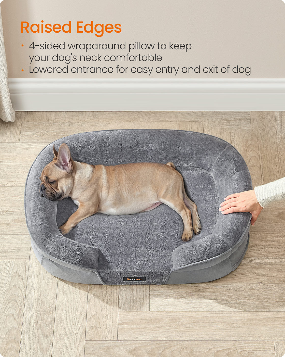Dog Bed