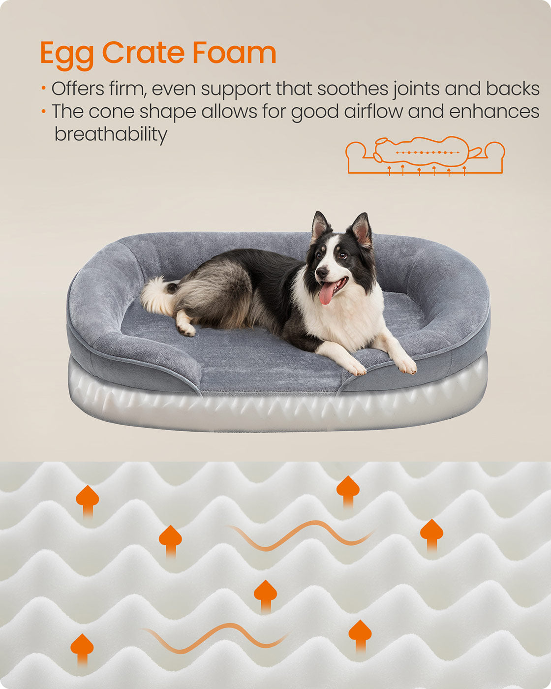 Dog Bed