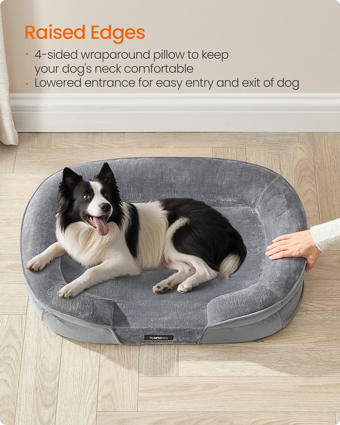 Dog Bed