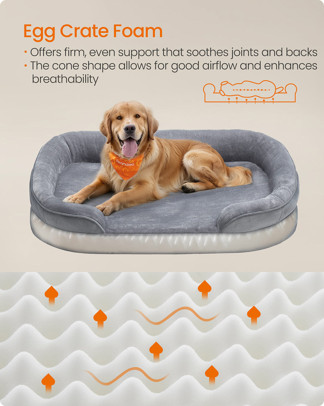 Dog Bed - image 3