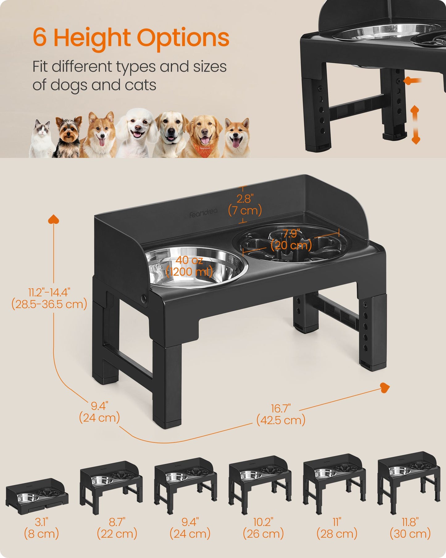 Dog Bowls Elevated