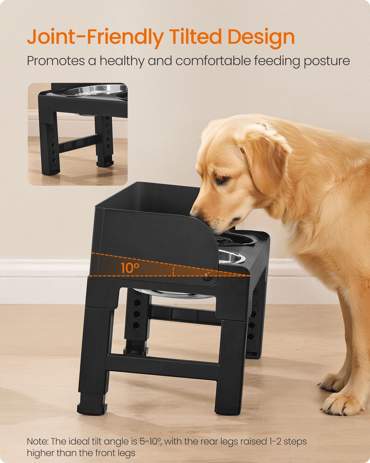 Dog Bowls Elevated