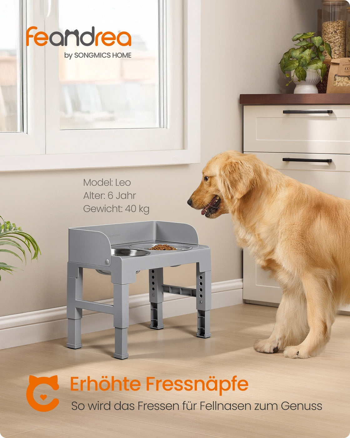 Dove Grey Raised Dog Bowls with Height-Adjustable Stand