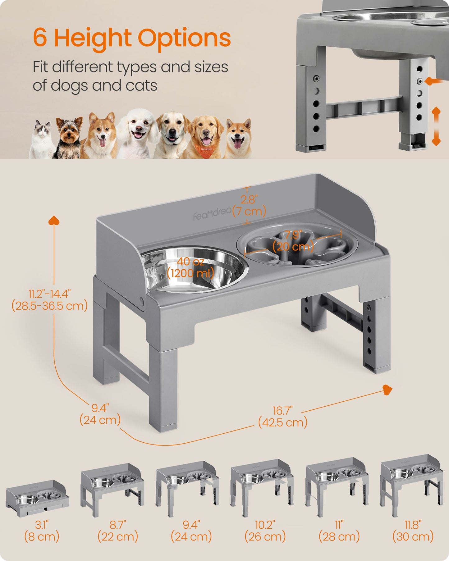 Dog Bowls Elevated