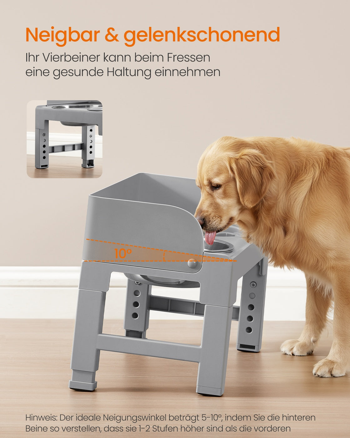 Dove Grey Raised Dog Bowls with Height-Adjustable Stand