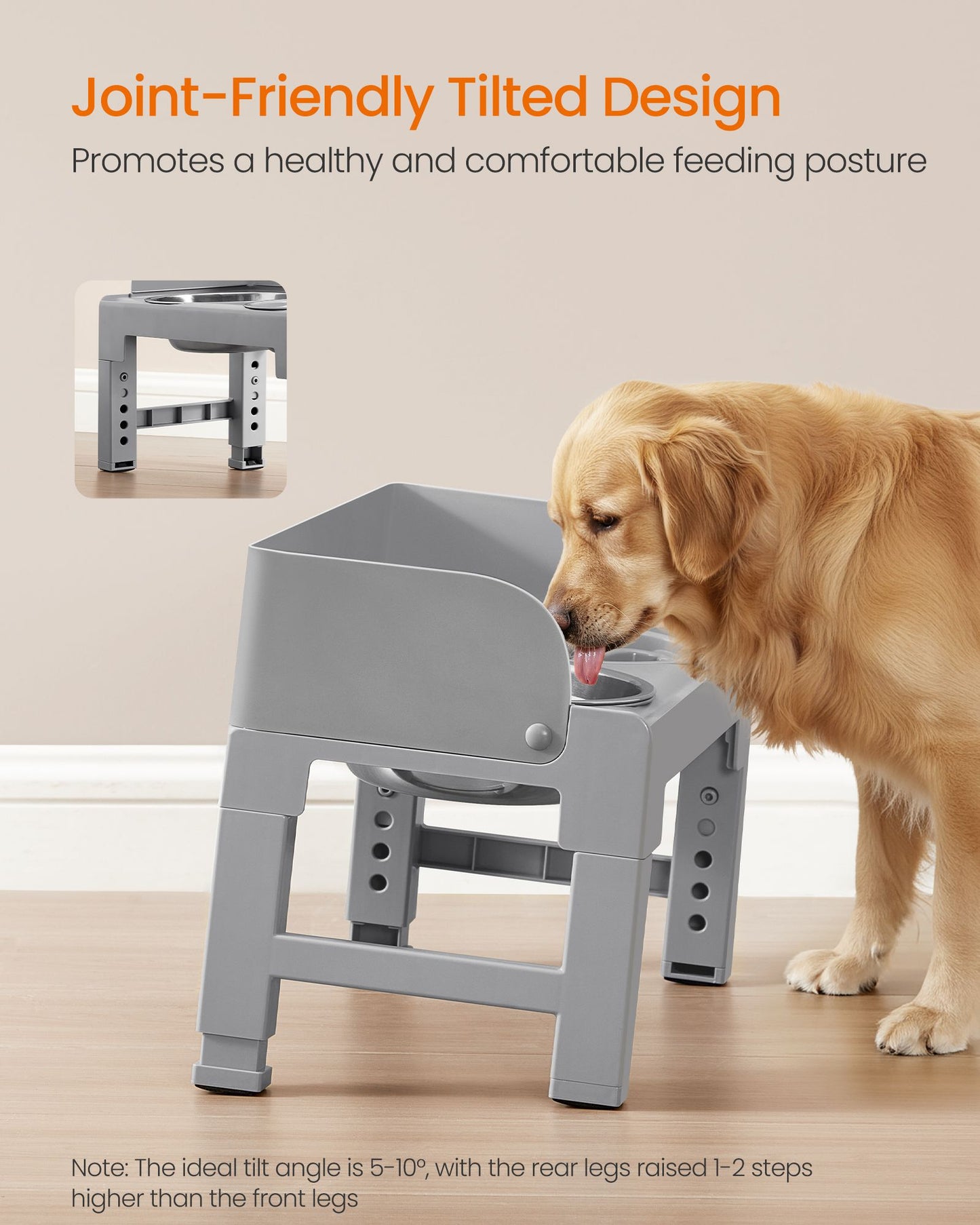 Dog Bowls Elevated