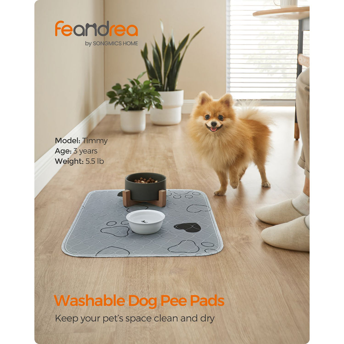 2 Pack Washable Pee Pads for Dogs, Up to 13 lb