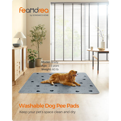 Set of 2 Washable Puppy Pads — 72 × 72 Inches