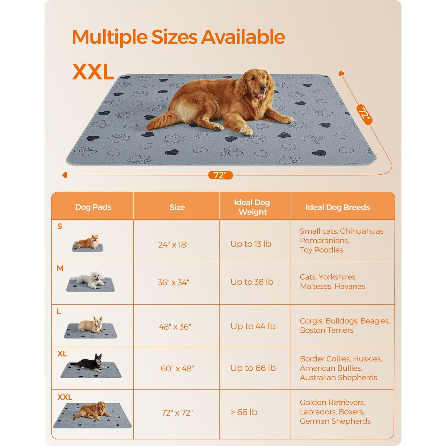 Set of 2 Washable Puppy Pads — 72 × 72 Inches