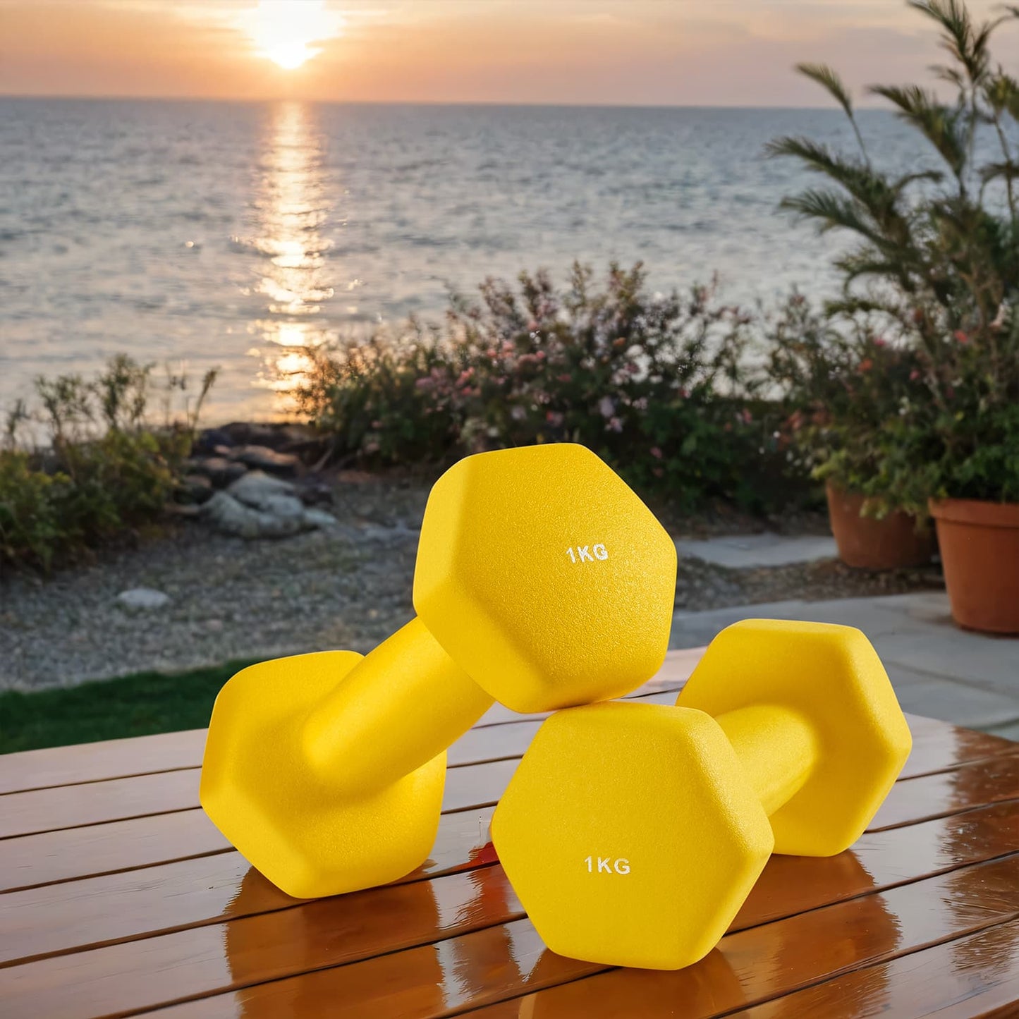 Set of 2 Neoprene Hex Dumbbells, 2 x 1 kg, with Dumbbells Bars - image 1