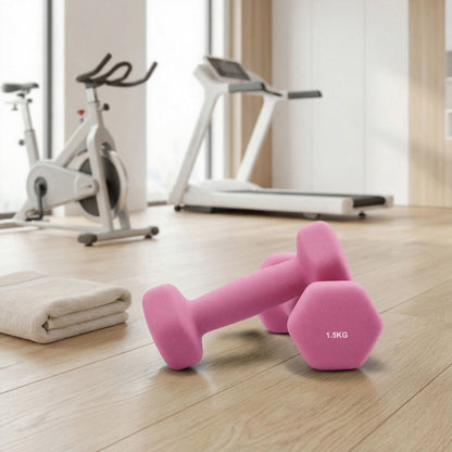 Hex Neoprene Dumbbells Set with Stand, 2 x 2 kg, 2 x 1.5 kg, 2 x 1 kg