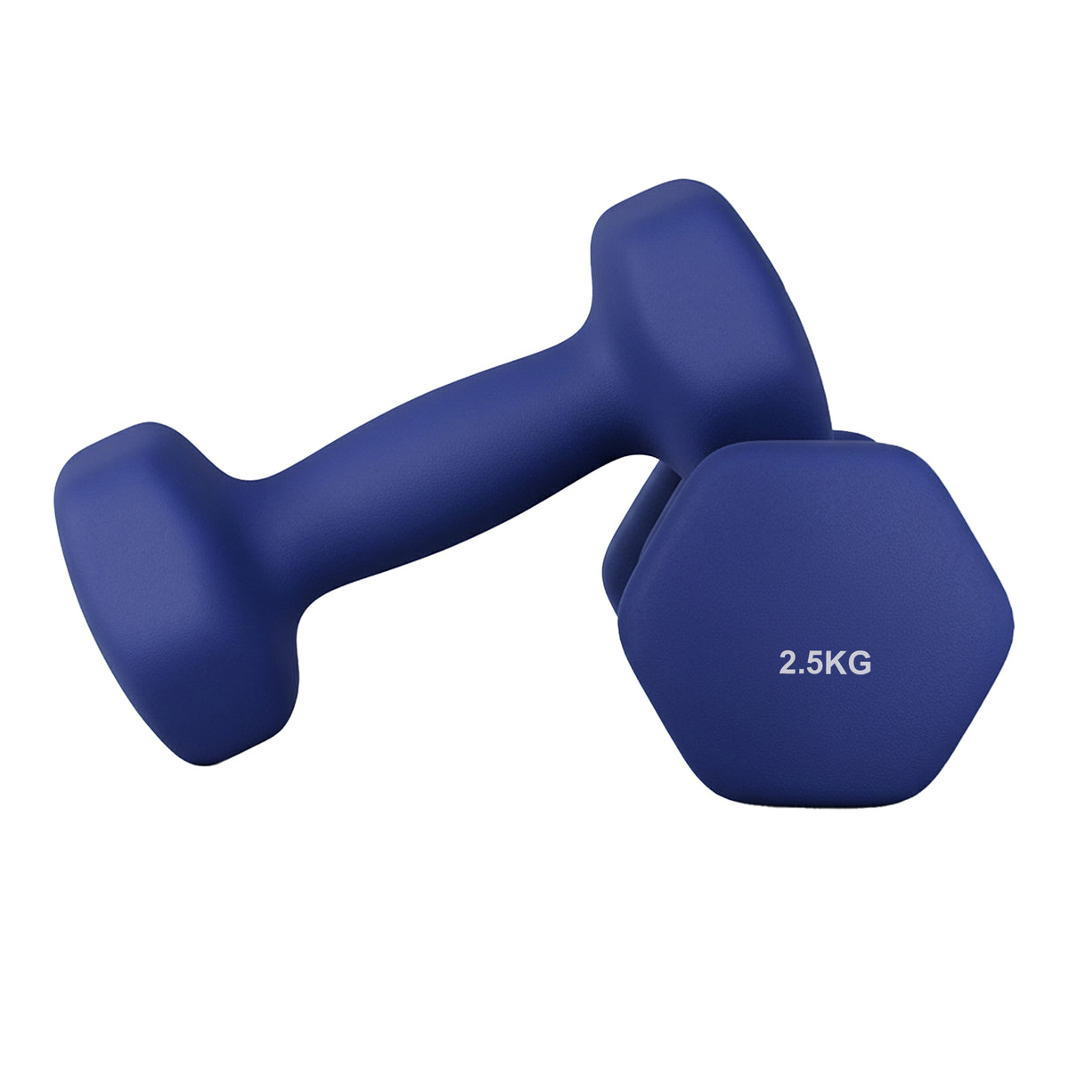 2 x 2.5 kg Set of 2 Neoprene Dumbbells, for Workout Fitness Harbor Blue