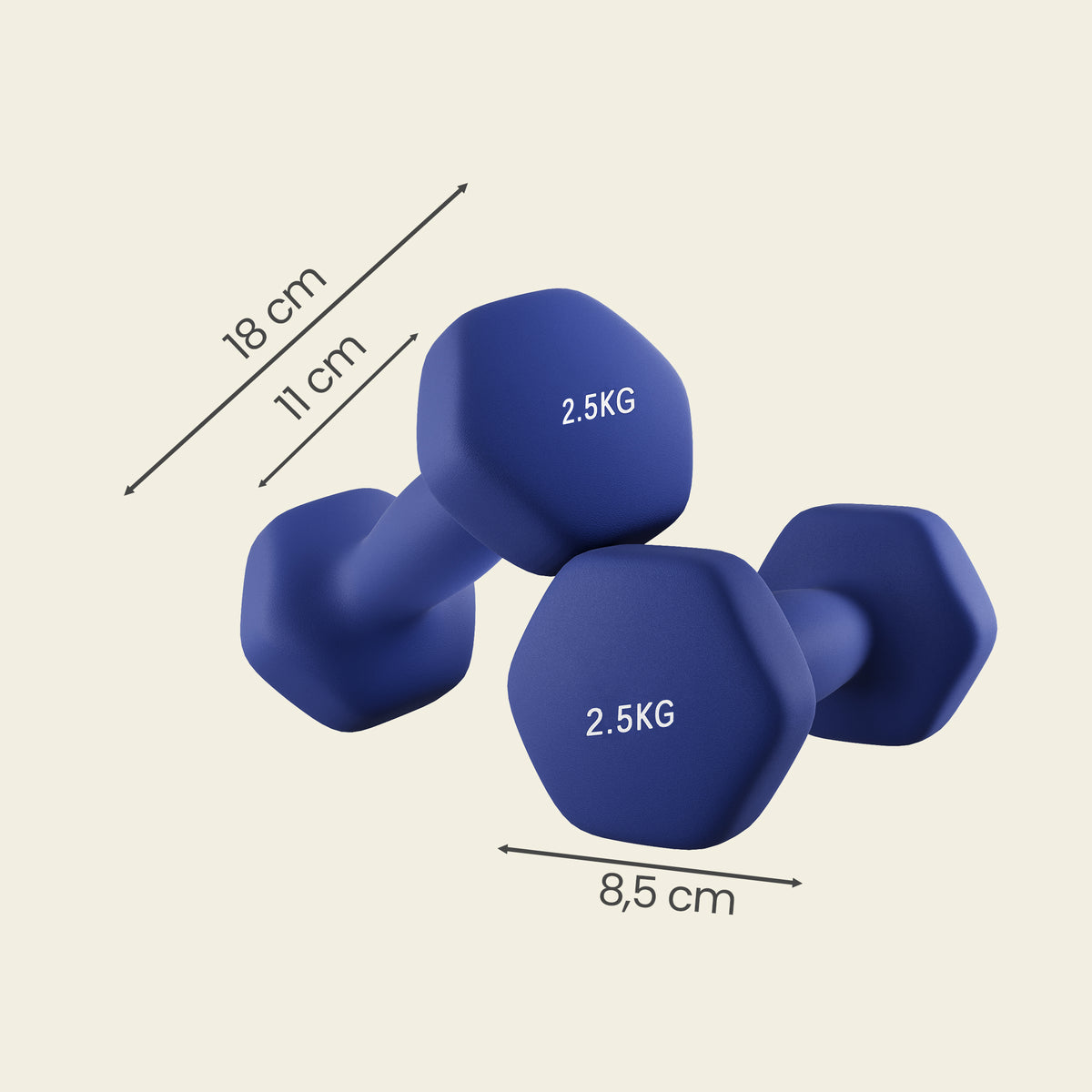 2 x 2.5 kg Set of 2 Neoprene Dumbbells, for Workout Fitness Harbor Blue