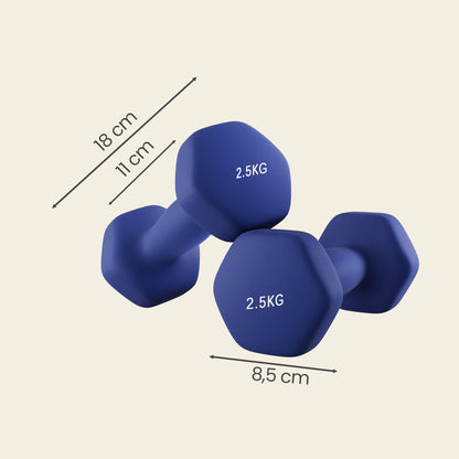 2 x 2.5 kg Set of 2 Neoprene Dumbbells, for Workout Fitness Harbor Blue