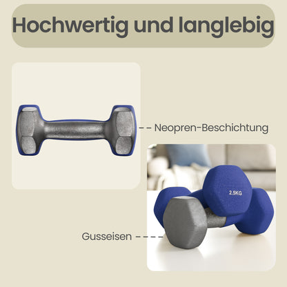 2 x 2.5 kg Set of 2 Neoprene Dumbbells, for Workout Fitness Harbor Blue