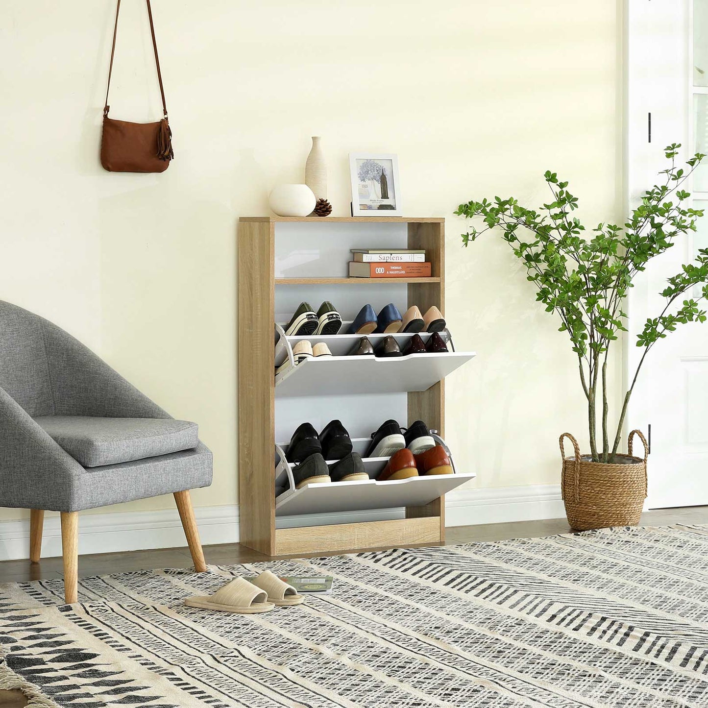 2 Flaps Shoe Cabinet - image 4