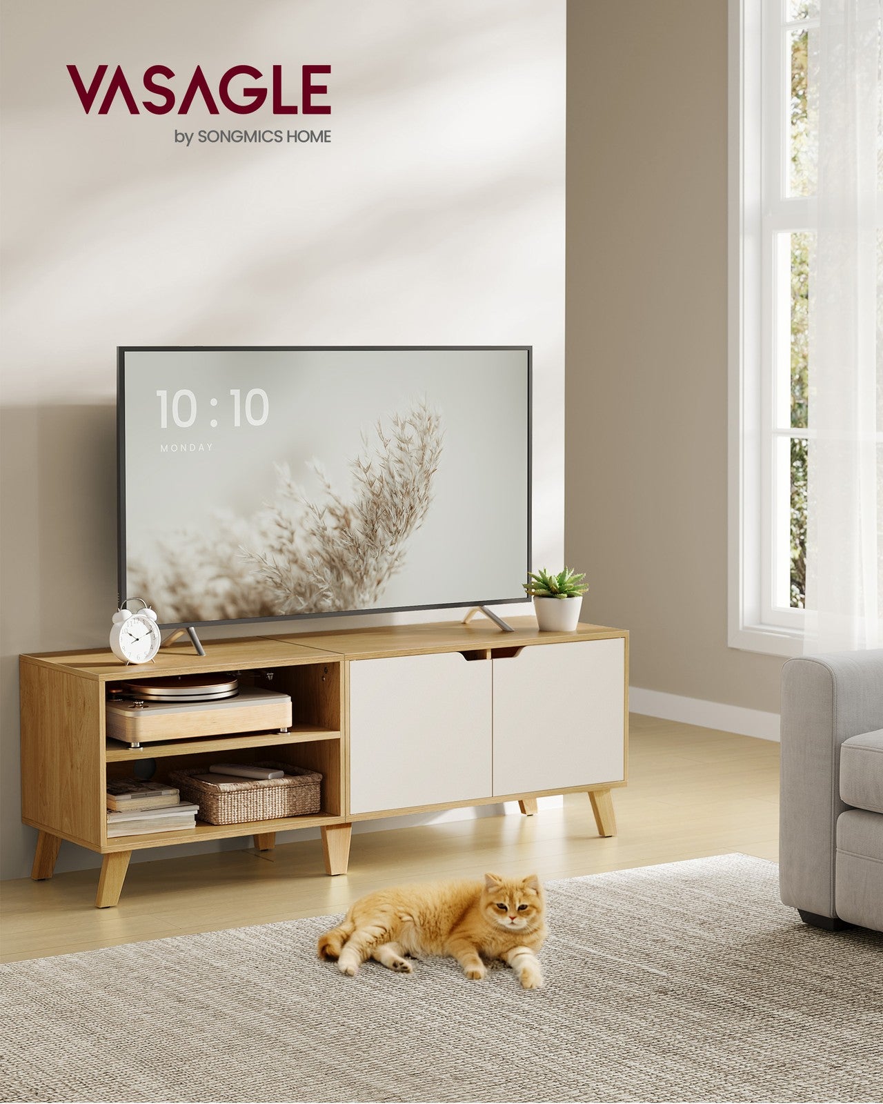 TV Cabinet with 2 Doors - image 15