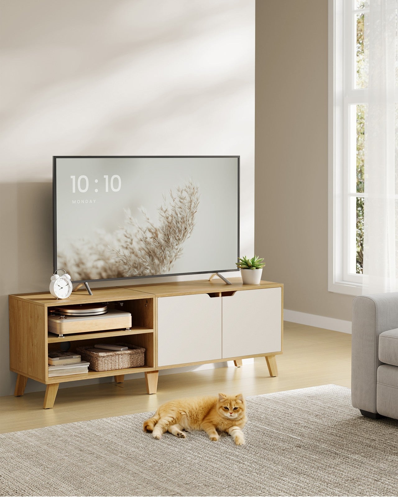 TV Cabinet with 2 Doors - image 16