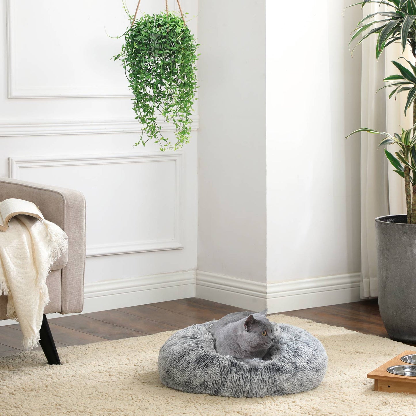 Dog Bed with Soft Plush Surface - image 4