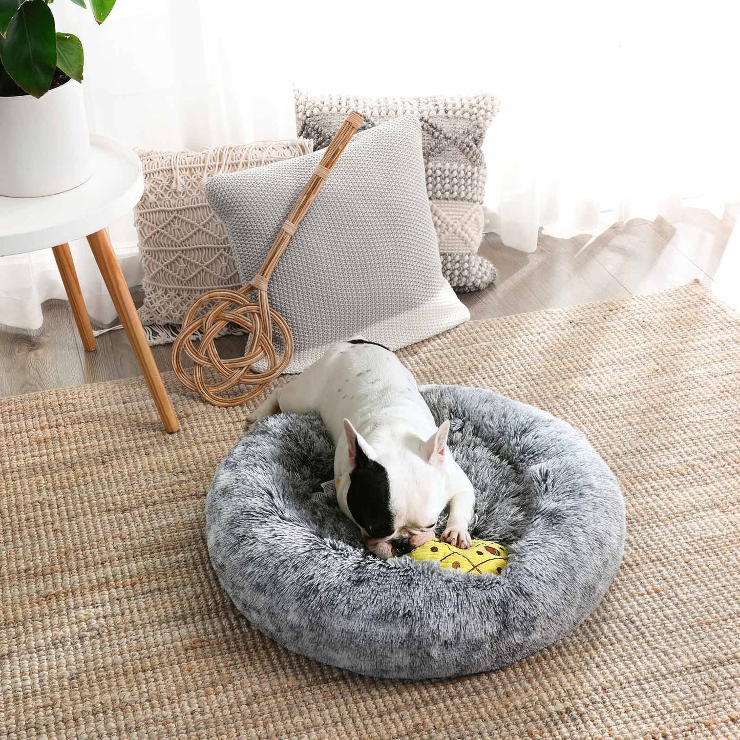 Dog Bed with Soft Plush Surface - image 11