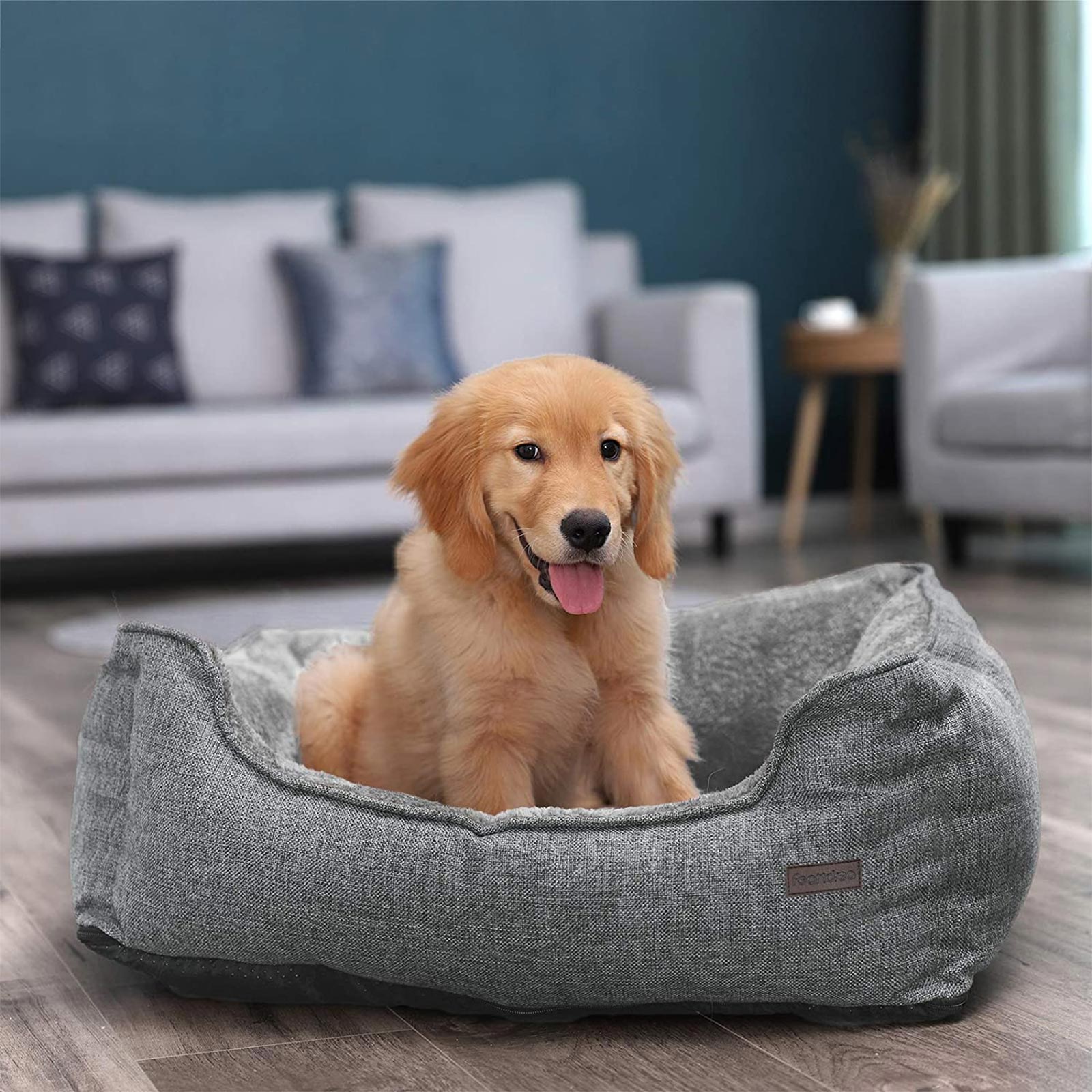 Removable Cover Dog Bed - image 3