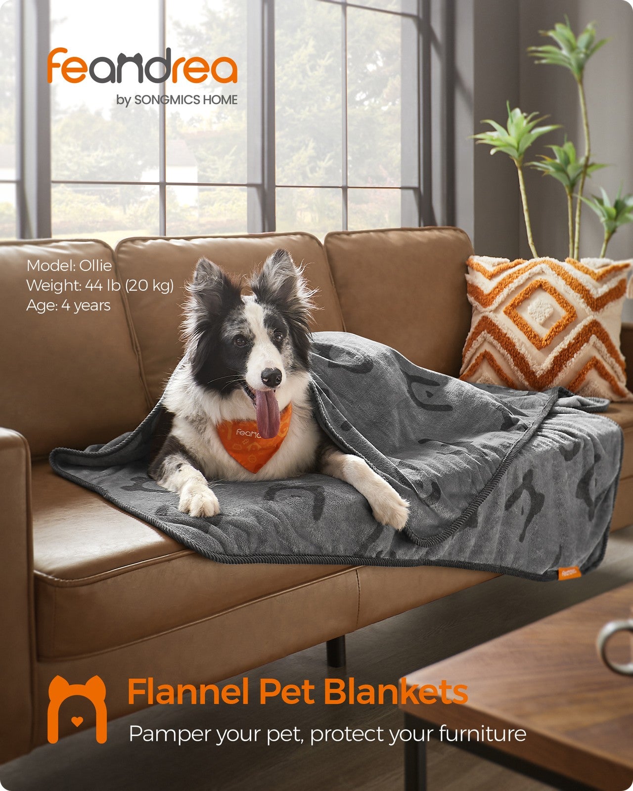 Pack of 3 Flannel Pet Blankets 60 x 40 cm Slate Grey - image 23