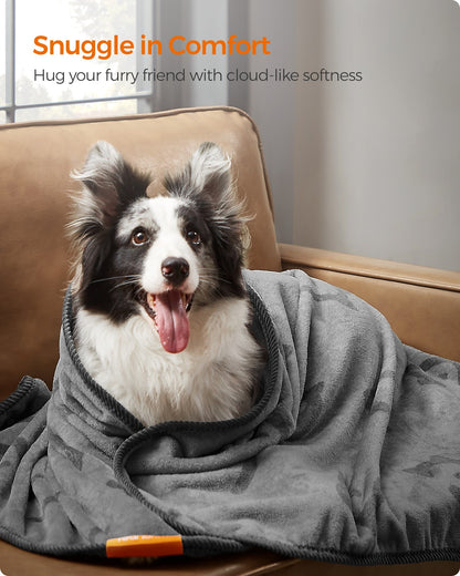 Pack of 3 Flannel Pet Blankets 60 x 40 cm Slate Grey - image 24