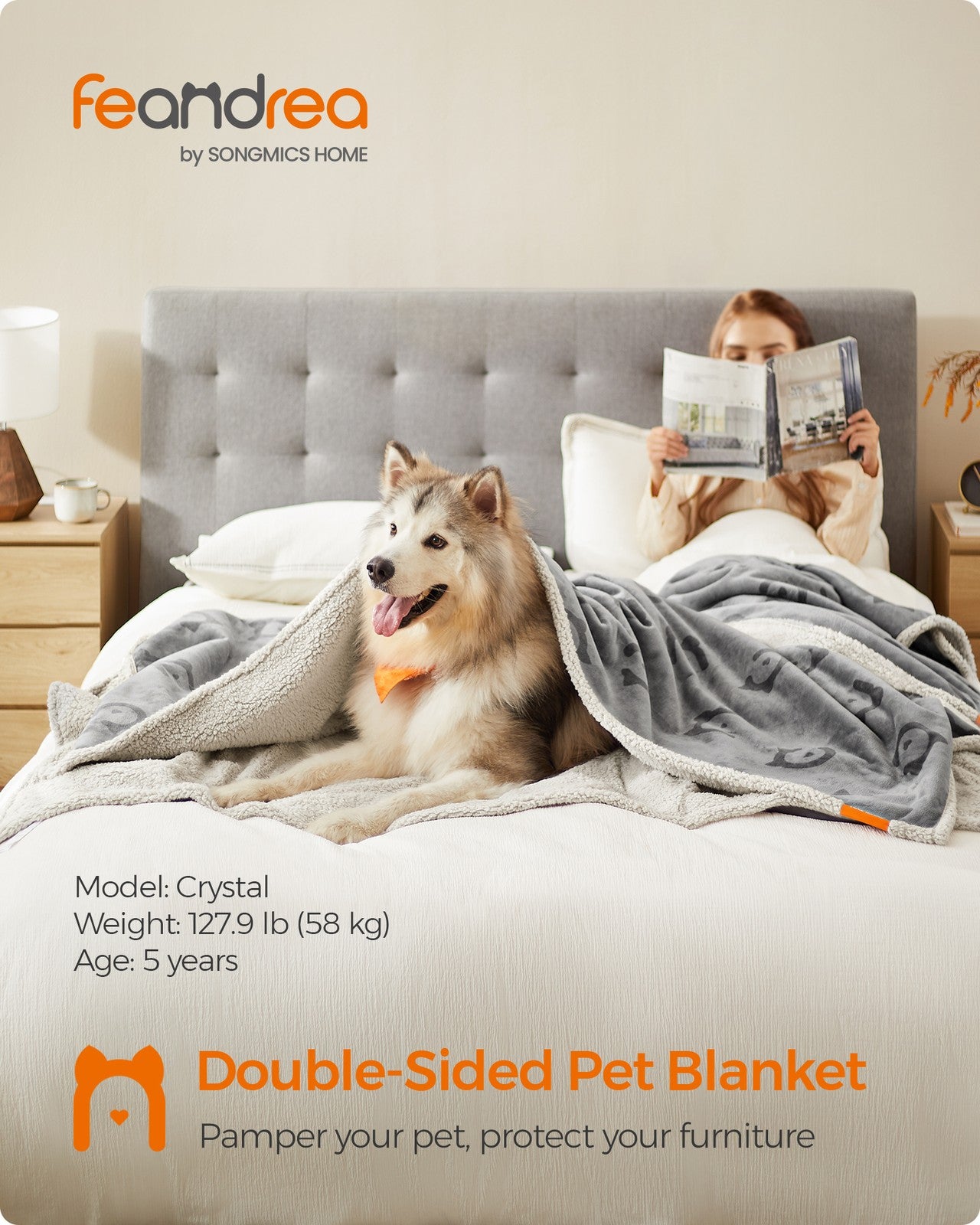 Waterproof Dog Blanket 73 x 63 cm - image 54